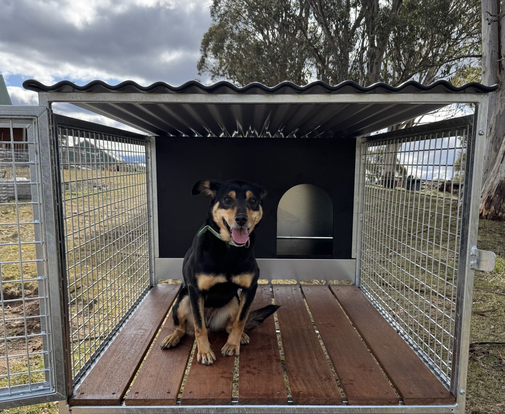 Stock Dog Kennels - Working Dog in Kennel