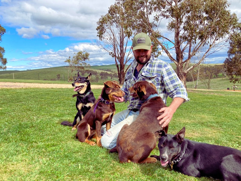 Stock Dog Kennels – Our Story